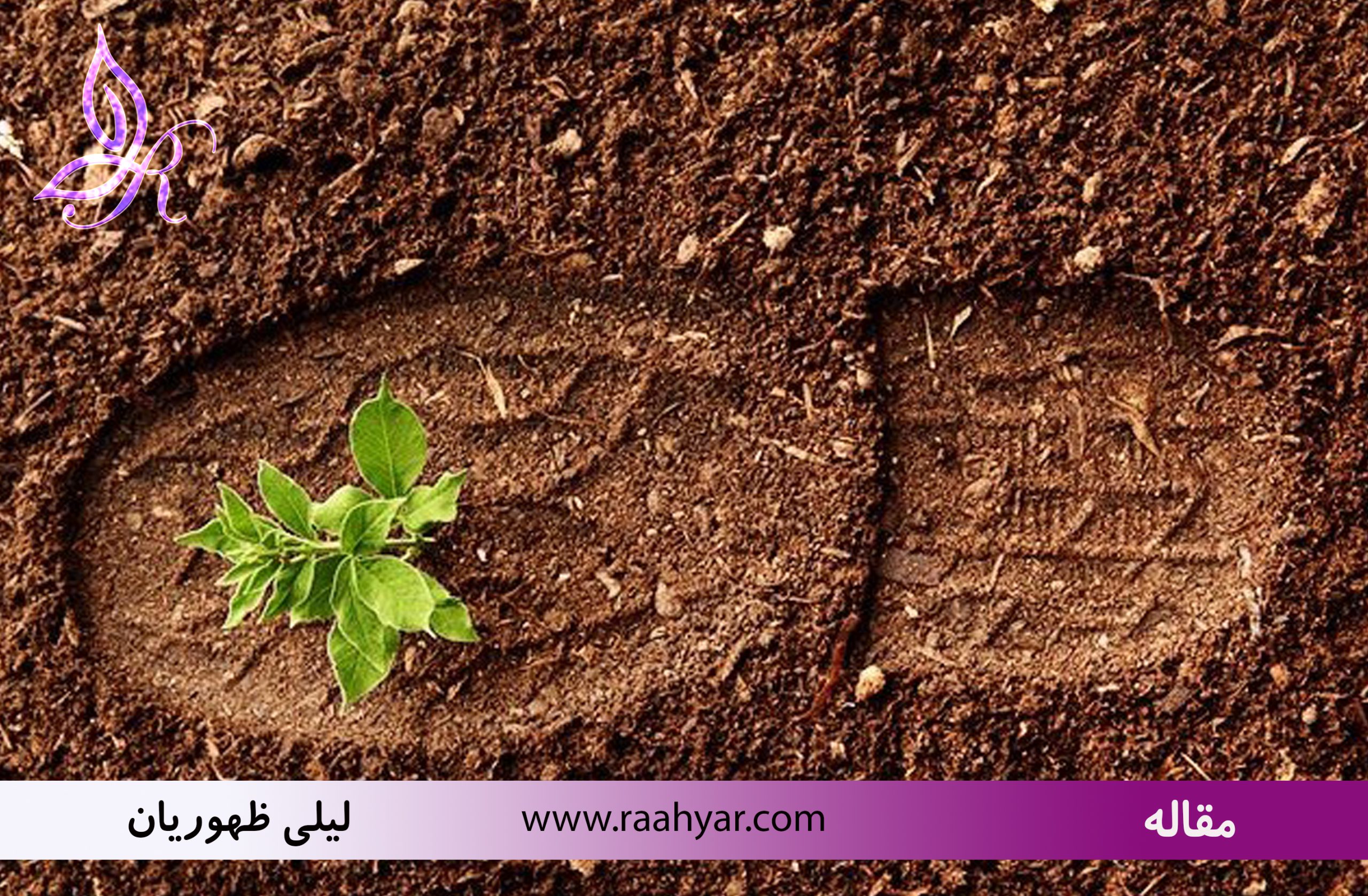 مقاله معنای زندگی یا رسالت چیست؟ به نوشته لیلی ظهوریان