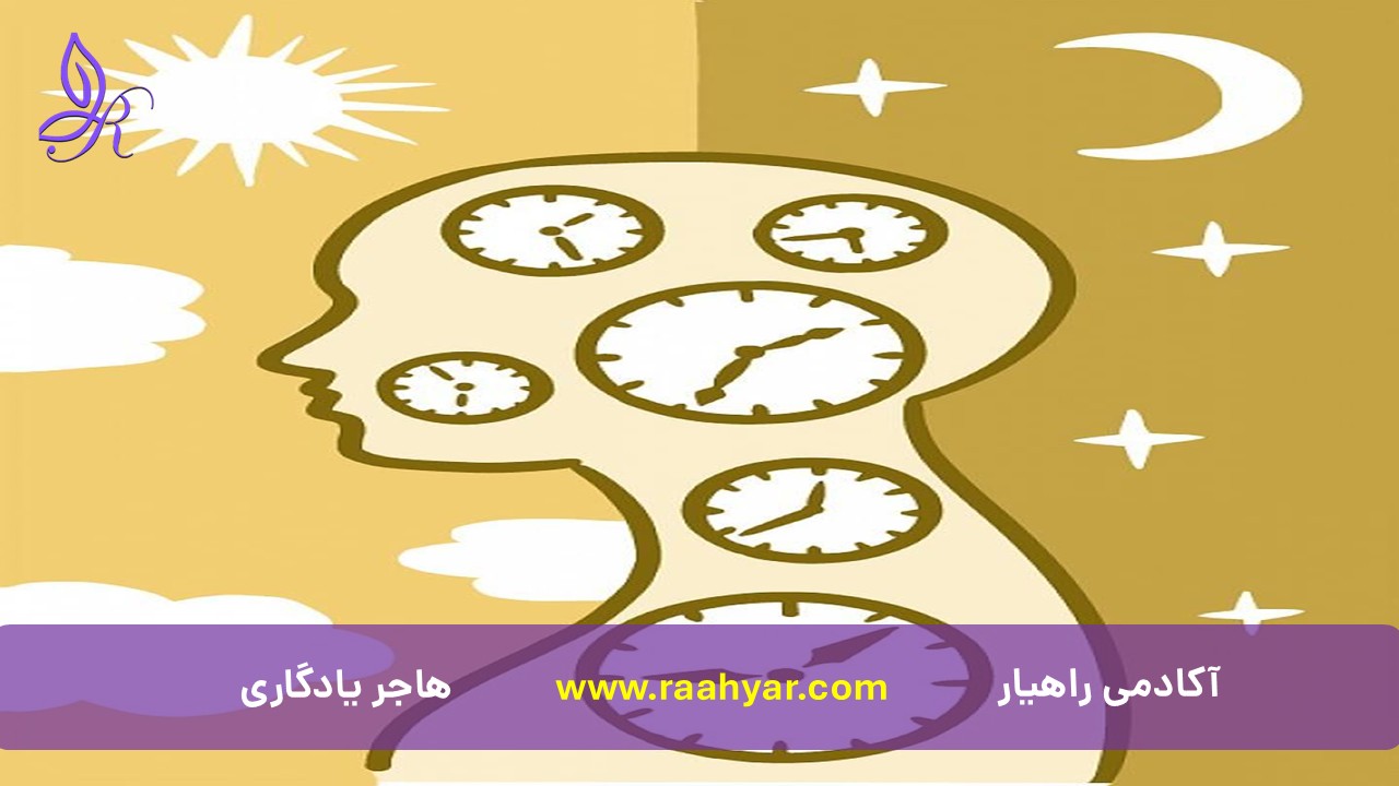 مقاله نقش اولویت‌بندی بر اساس دوره‌های انرژی روزانه (Chronotype & Energy Management) به نوشته هاجر یادگاری