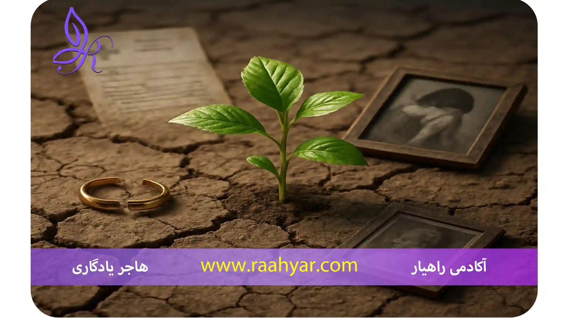 مقاله چطور از دل طلاق، بیماری یا سوگ تاب‌آوری بسازیم؟ به نوشته هاجر یادگاری