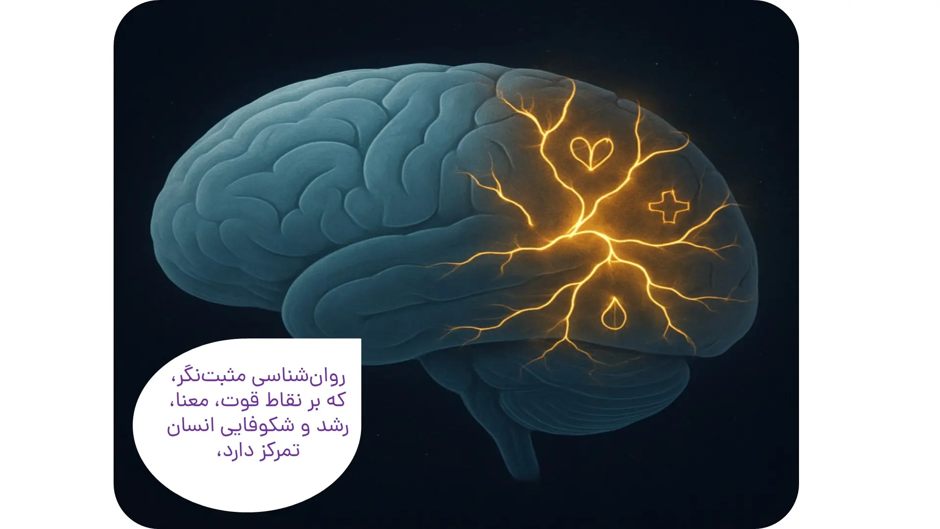 تاب آوری و روانشناسی مثبت‌گرا